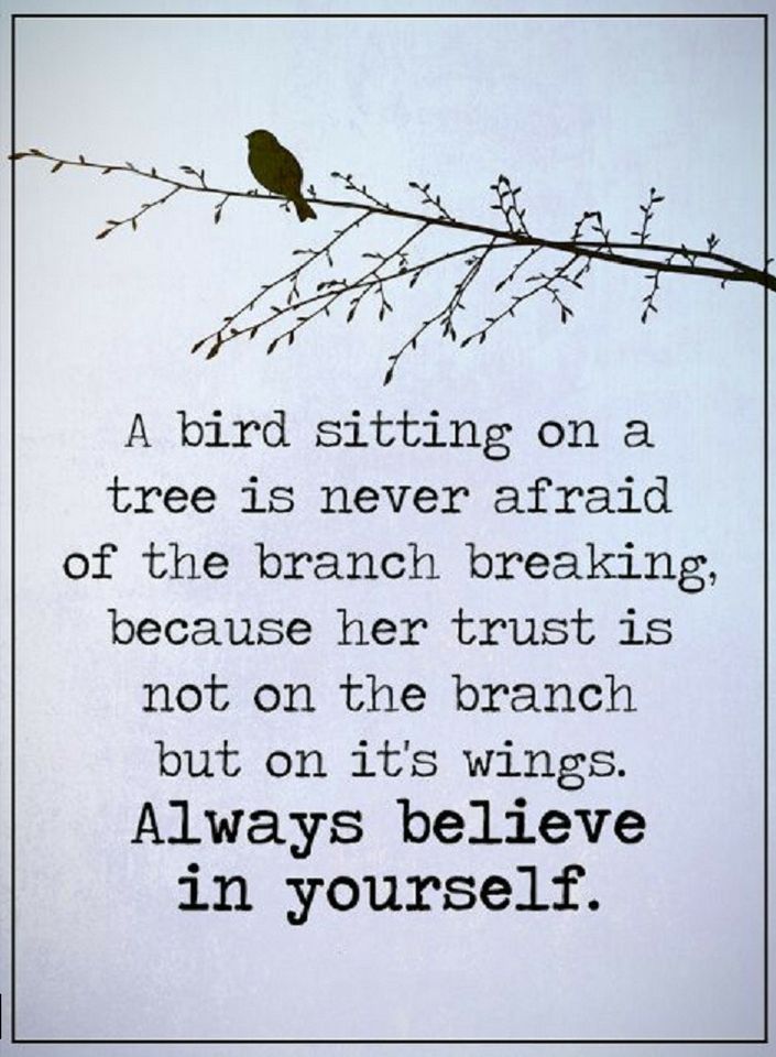 Quote: Believe in yourself