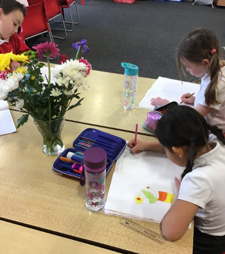 observational drawings