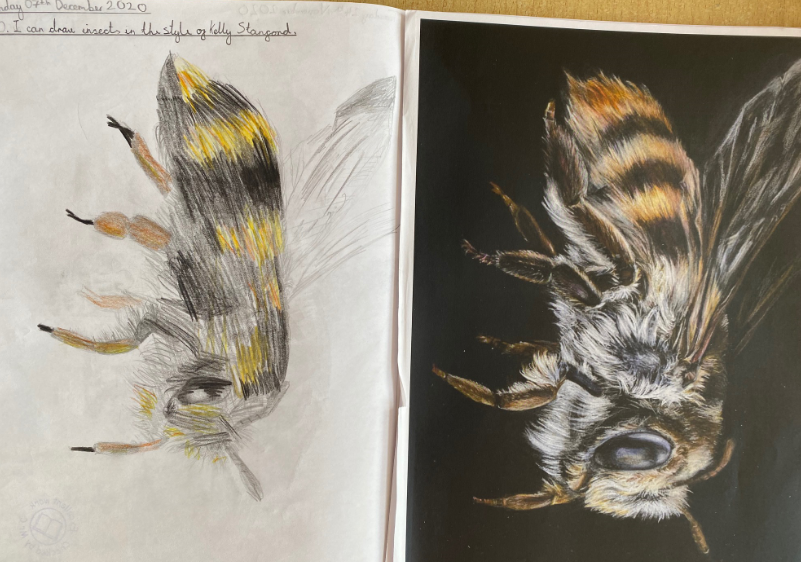 Children's sketches of a bee