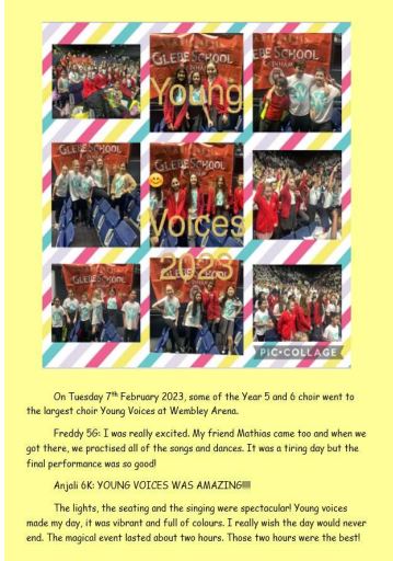 Young Voices Pictures